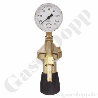 Entnahmestellen Druckminderer Formiergas Wassersoff 0 - 50 l/min - GasLine GCE RHÖNA DIN-Control 0783076
