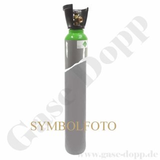 Druckluftflasche 10 Liter 200 bar Druckluft mit Kunststoffcage - neu und gefüllt - TÜV bis 2031 (Stand 2021)
